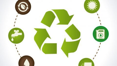 Porque é importante reciclar? Damos 5 razões
