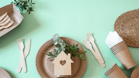 Decoração sustentável: ideias para criar ambientes ecologicamente conscientes
