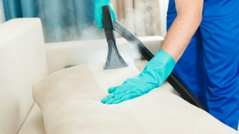 Limpeza de Estofados: Como Conservar Seu Sofá Sempre Limpo e Livre de Ácaros