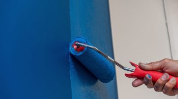 Tintas BH: Como Escolher as Melhores Opções e Garantir uma Pintura Impecável