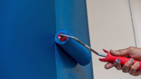 Tintas BH: Como Escolher as Melhores Opções e Garantir uma Pintura Impecável