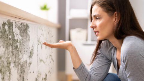Como evitar mofo em casa e manter o ambiente seguro: guia completo
