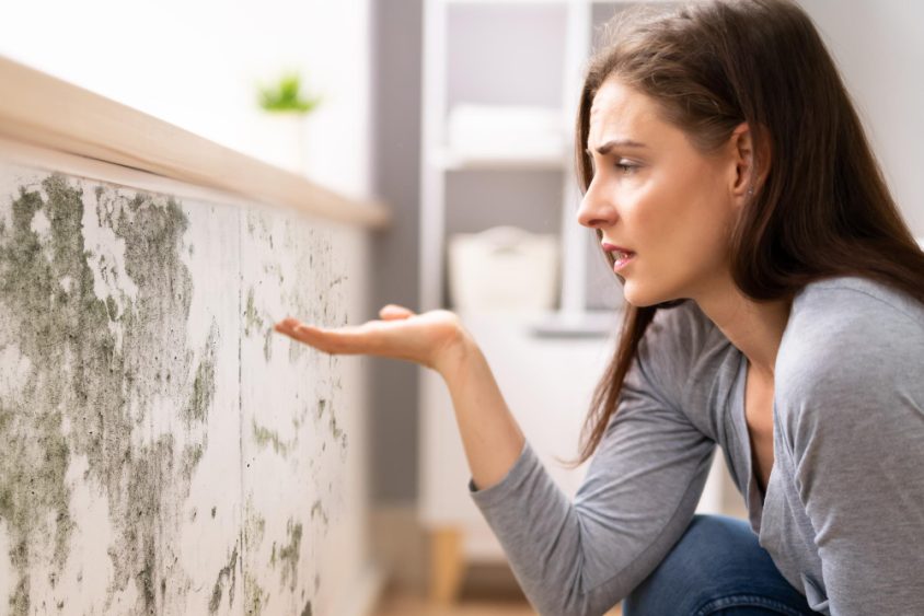 Como evitar mofo em casa e manter o ambiente seguro: guia completo